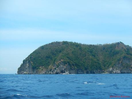 Apo Island