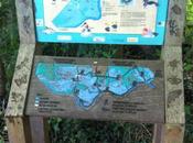 Attenborough Nature Reserve