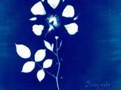 Painted Zeros’ Single ‘Call Back’ Giovanni Debut Floriography [Stream]