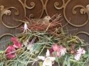 Front Door Wreaths Birds