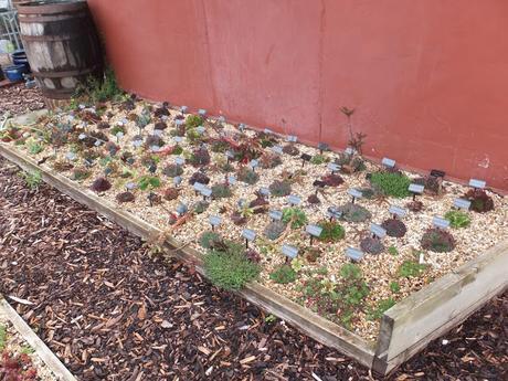 A Return to Paul's Garden