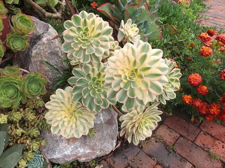 A Return to Paul's Garden