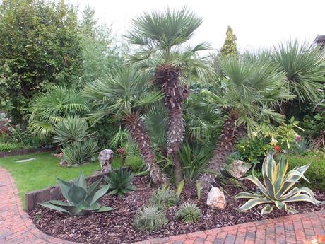 A Return to Paul's Garden