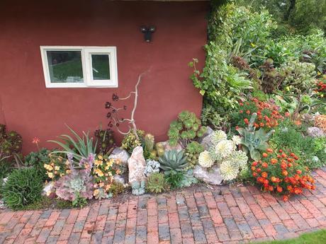 A Return to Paul's Garden