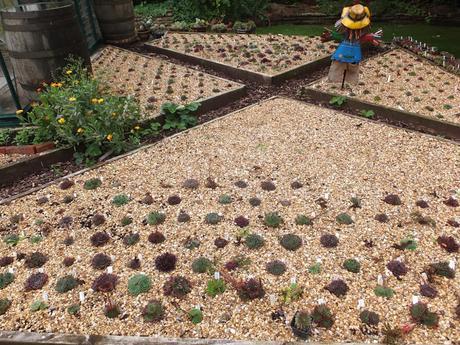 A Return to Paul's Garden