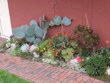 A Return to Paul's Garden