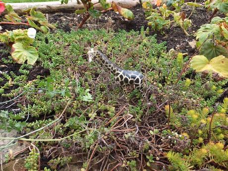 A Return to Paul's Garden