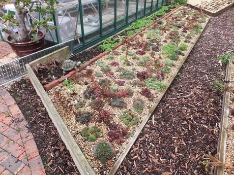 A Return to Paul's Garden