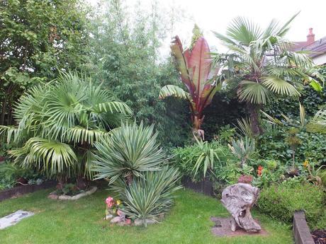 A Return to Paul's Garden