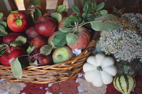 Apple Picking Decor Inspiration