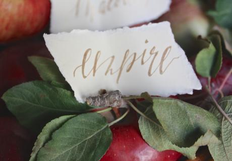 Apple Picking Decor Inspiration