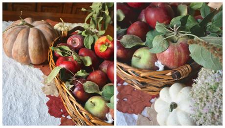 Apple Picking Decor Inspiration