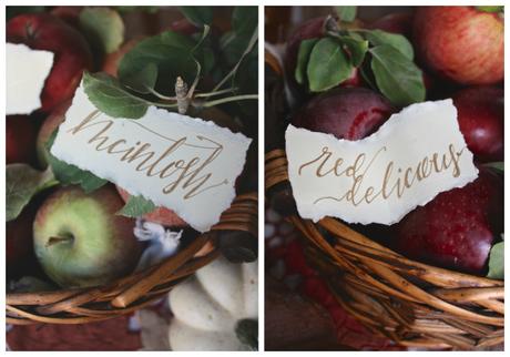 Apple Picking Decor Inspiration