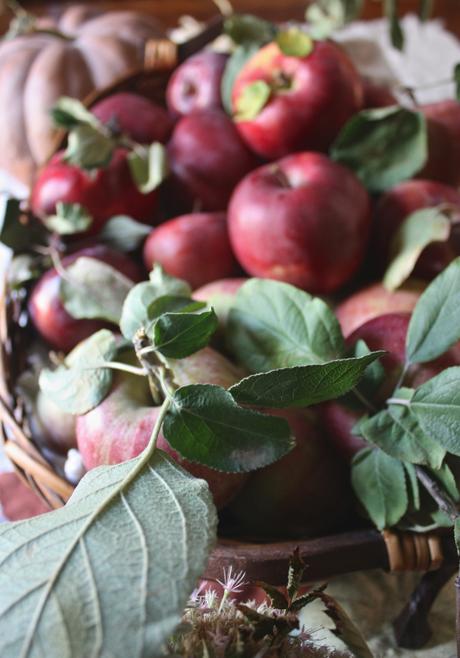  Apple Picking Decor Inspiration