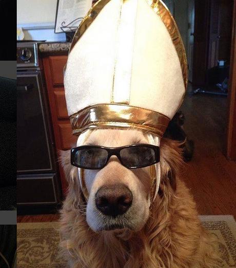 [Image: top-10-crazy-catholic-pope-dogs-L-8Y_TtR.jpeg]