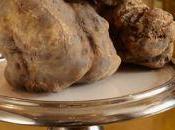 Dishes with White Truffle Carlo Restaurant It’s Week!