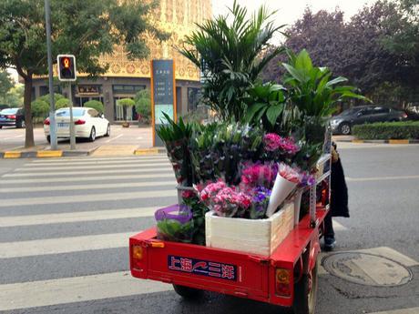 Buying Flowers in China