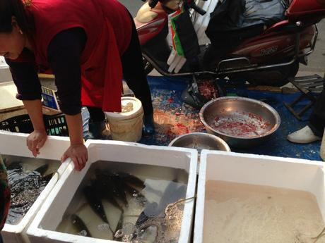 Wet Markets in Xi'an buying fish 