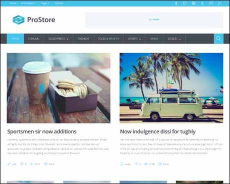 ProStore WordPress Theme