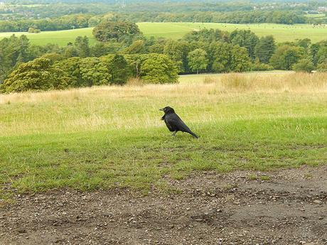 Lyme Park (Part 2)