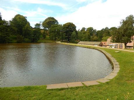 Lyme Park (Part 2)