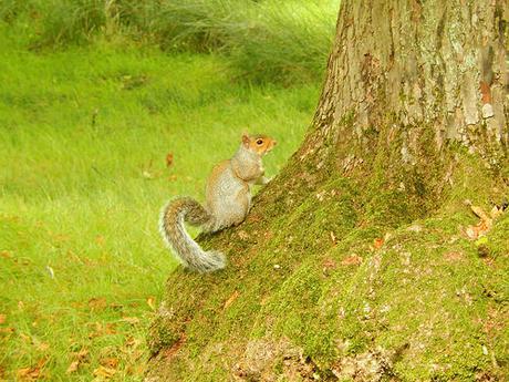 Lyme Park (Part 2)