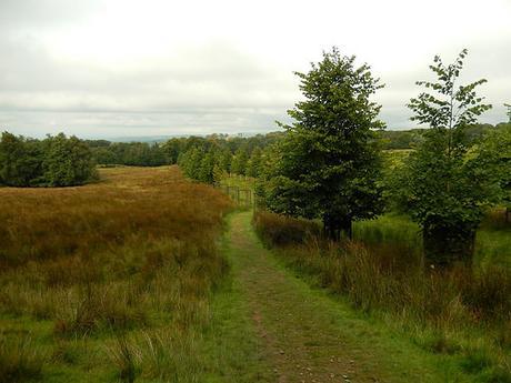 Lyme Park (Part 2)