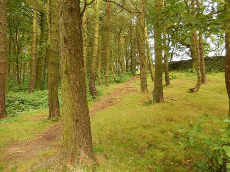 Lyme Park (Part 2)