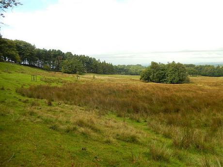 Lyme Park (Part 2)