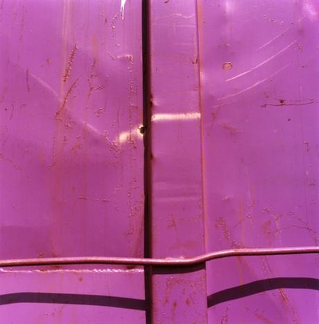 webster-art-grace-hopkins