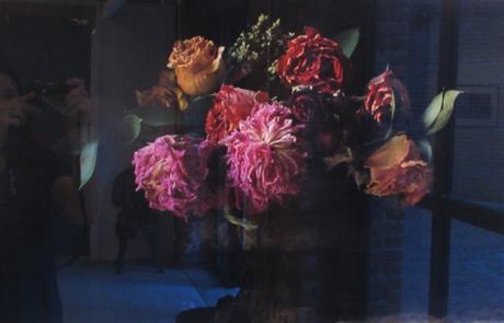 webster-art-john-ross