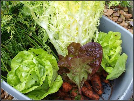 Harvest Monday - 26th October 2015
