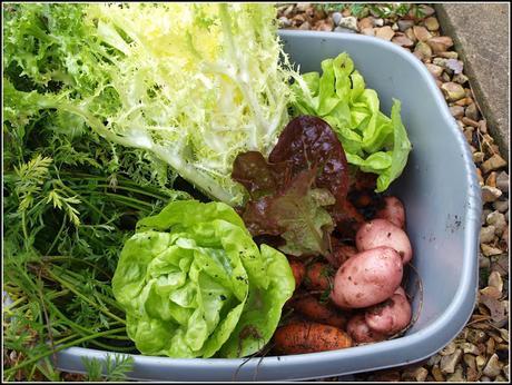 Harvest Monday - 26th October 2015