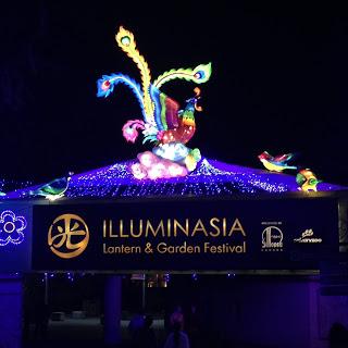 MOMday: Illuminasia at the Calgary Zoo