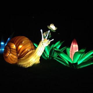 MOMday: Illuminasia at the Calgary Zoo