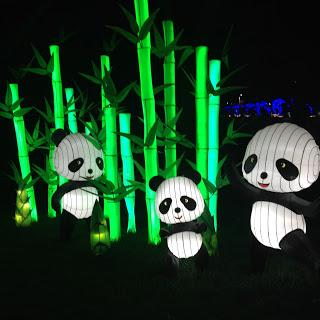 MOMday: Illuminasia at the Calgary Zoo