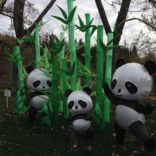 MOMday: Illuminasia at the Calgary Zoo