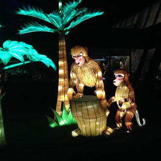 MOMday: Illuminasia at the Calgary Zoo