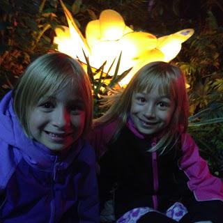 MOMday: Illuminasia at the Calgary Zoo