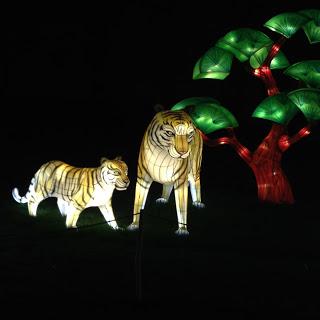 MOMday: Illuminasia at the Calgary Zoo