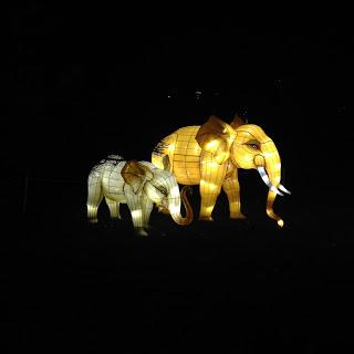 MOMday: Illuminasia at the Calgary Zoo