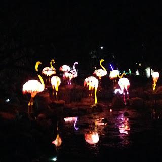 MOMday: Illuminasia at the Calgary Zoo