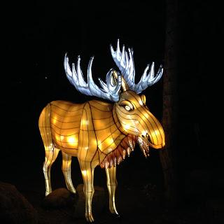 MOMday: Illuminasia at the Calgary Zoo