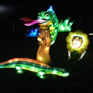 MOMday: Illuminasia at the Calgary Zoo