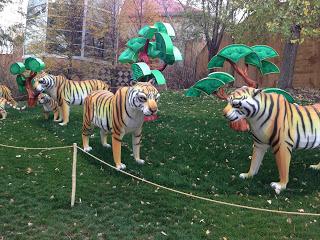 MOMday: Illuminasia at the Calgary Zoo