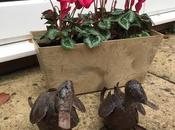 Winter Flowers Garden Planters