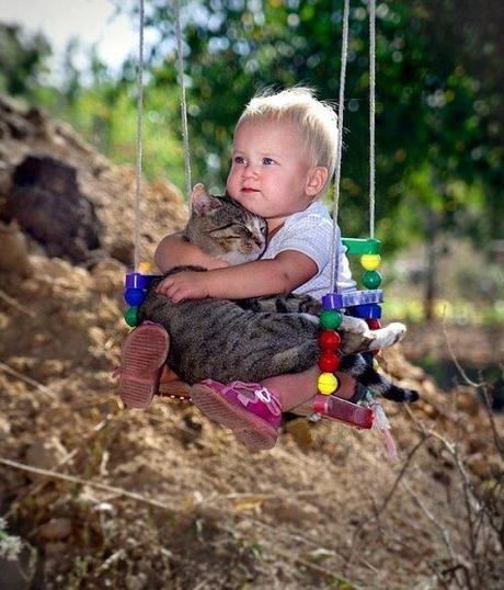 boy holds cat on swing