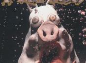 Primus" "Pork Soda" Oakland