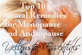 top 10 natural remedies for menopause and andropause