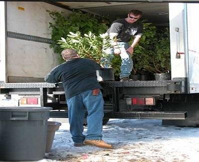 moving plants to new house